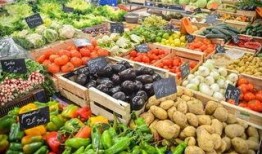 深圳菜市场爆料视频曝光,真实生活场景下的烟火气息