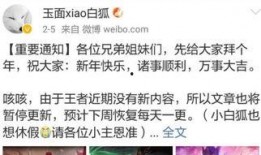 小无王者爆料最新消息视频,揭秘神秘视频背后的惊人真相！