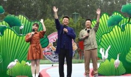 汕头酸菜爆料视频最新,揭秘网络爆料的背后真相